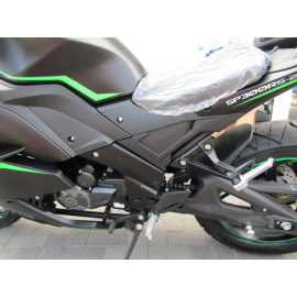 Мотоцикл SPARK 300RS-2
