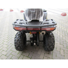 Квадроцикл ATV TGA250 SHARK