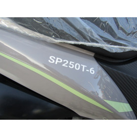 Мотоцикл SPARK 250T-6