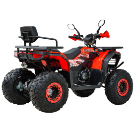 Квадроцикл SPARK SP 200-11   