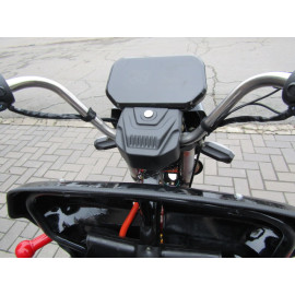 Вантажний електротрицикл CARGO10 1000W 60V 32Ah