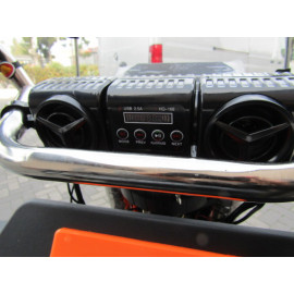 Грузовий трицикл FORTE GP-1200C 1200W 60V 32A