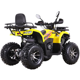 Квадроцикл SPARK SP 200-10E    