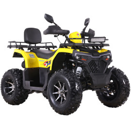 Квадроцикл SPARK SP 200-10E    