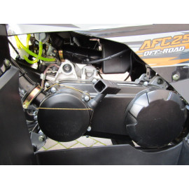 Квадроцикл FORTE AFC250 PRO