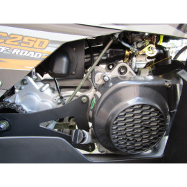 Квадроцикл FORTE AFC250 PRO