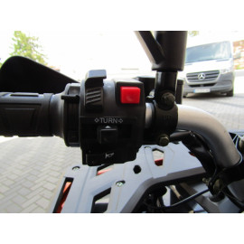 Квадроцикл FORTE AFC250 PRO