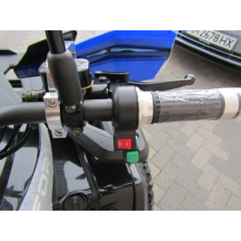 Електроквадроцикл FORTE ATV1500G (1500 Вт)