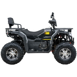 Квадроцикл SPARK SP 200-11E    