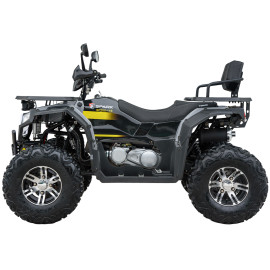 Квадроцикл SPARK SP 200-11E    