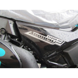 Мотоцикл SHINERAY 250 -11F  INTRUDER