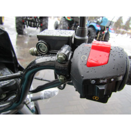 Мотоцикл SHINERAY 250 -11F  INTRUDER