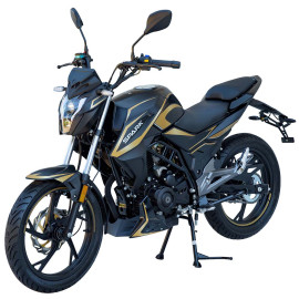 Мотоцикл SPARK 200R-46